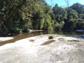 rio com pedras e árvores