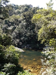 mais do caminho da trilha, com o rio acompanhando a passagem