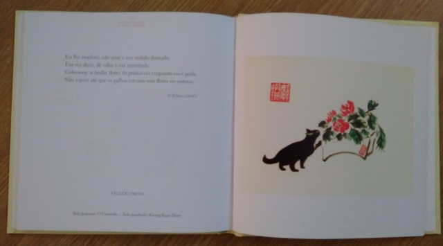 livro aberto aleatoriamente 'o gato chinês'