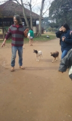chão de terra, com um indígena gesticulando na chegada dos visitantes. dois cachorros na fato, um branco e um marrom
