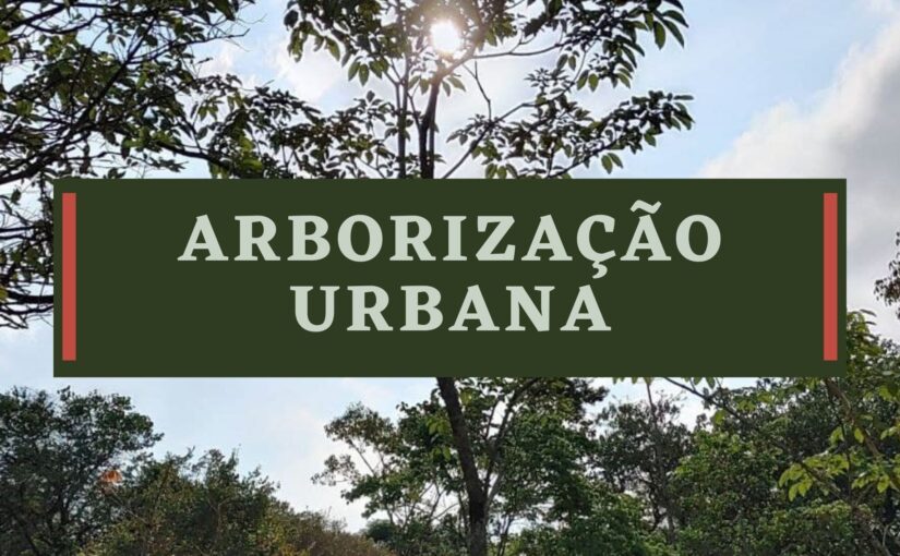 Arborização - Dicio, Dicionário Online de Português