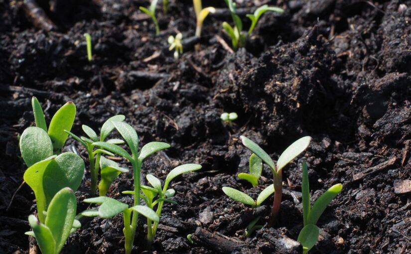 Análises Agroambientais