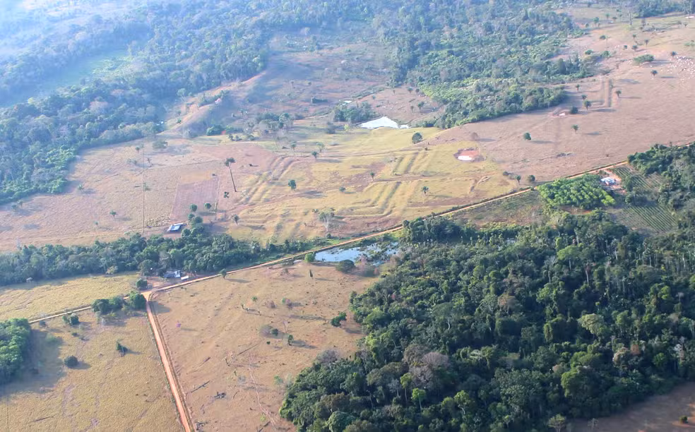 Geoglifo descoberto em área desmatada de Tequinho, no Acre — Foto: Martti Pärssinen, disponível em Instituto Geoglifos da Amazônia